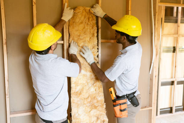 Best Insulation Air Sealing  in , VA